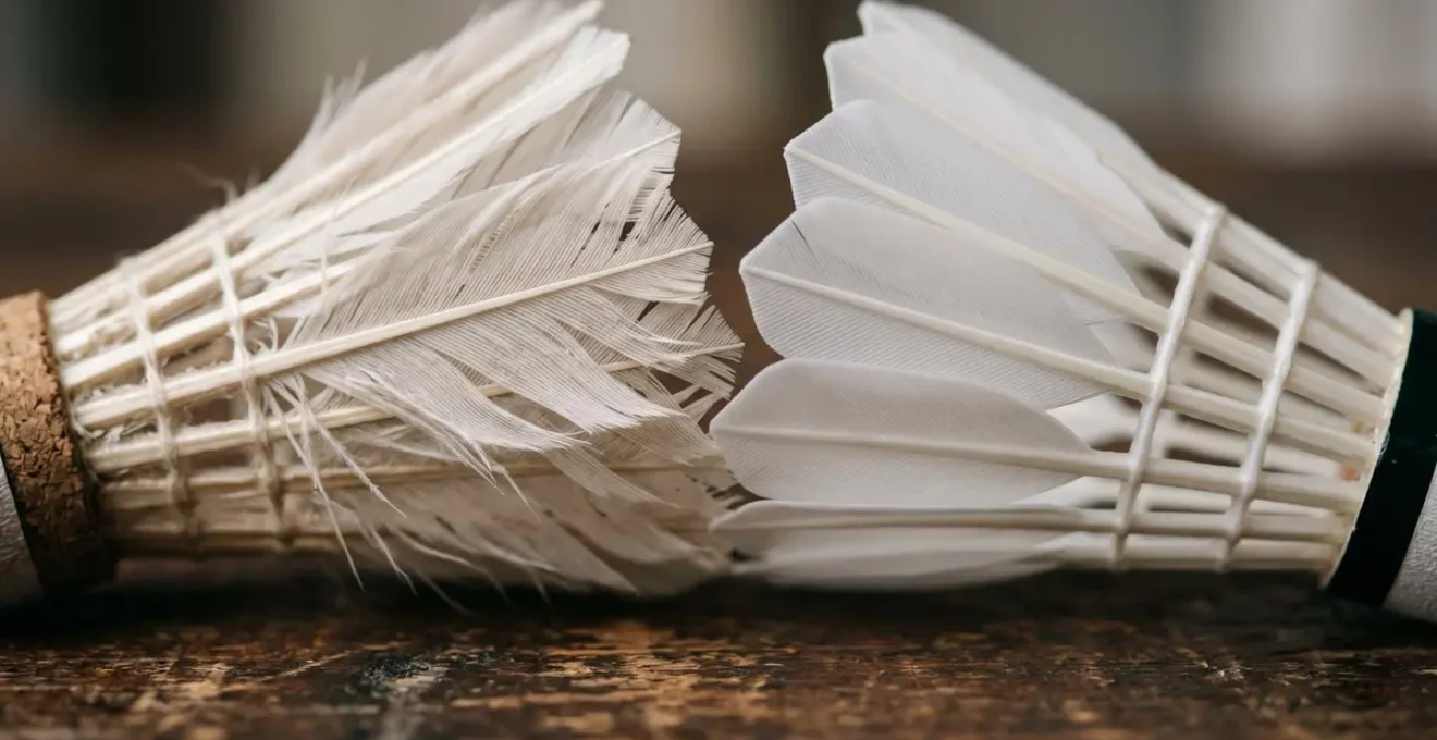 Détail macro des structures de volants en plume et en plastique côte à côte